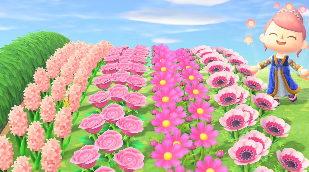 Débloquez la beauté de votre île : un guide complet pour obtenir et reproduire des roses roses dans Animal Crossing : New Horizons